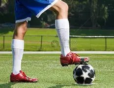 巴黎逆袭奇,观揭秘,数据支撑,香港赛马,香港马会,赛马文化,赛马资讯