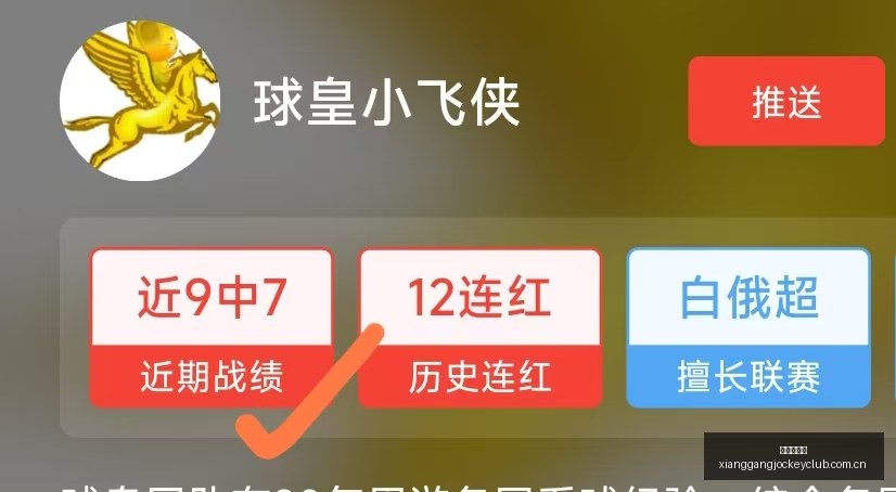 世界杯连胜,追踪,香港赛马会,香港赛马,香港马会,赛马文化,赛马资讯