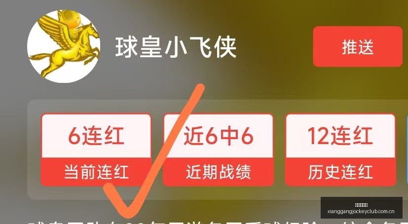 深度解析功,夫模式,一习话背后,香港赛马,香港马会,赛马文化,赛马资讯